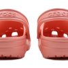 Crocs (WMNS) Classic Clog Outdoor Beach Sports Pantofle Pink 10001-737